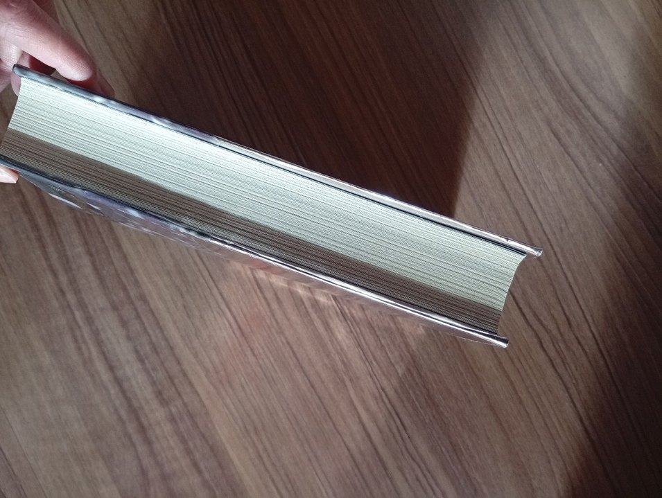 Ölüler Konuşamaz - Dilara Keskin - Görsel 4