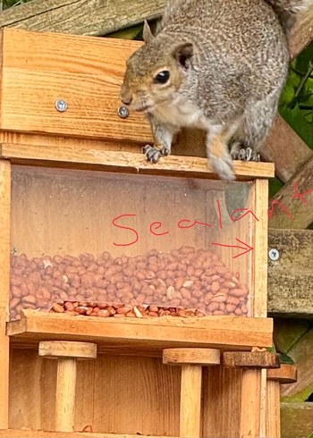 Çam ağacından sincap yem evi - Görsel 9