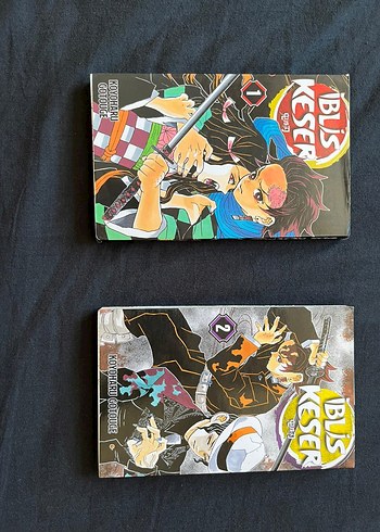 Demon Slayer Cilt 1 ve 2 - Manga Çizgi Roman