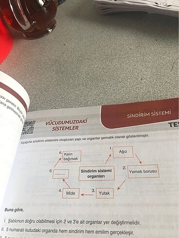 Beden Renk 6. Sınıf fen soru bankası
