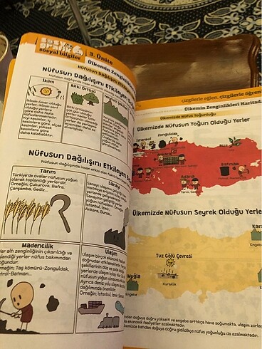 Beden Renk 6. Sınıf sosyal