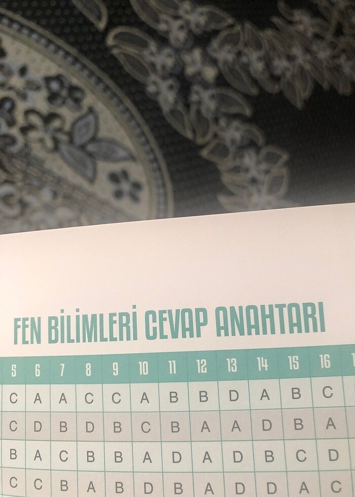 8. Sınıf bumerang fen bilimler denemeler - Görsel 3