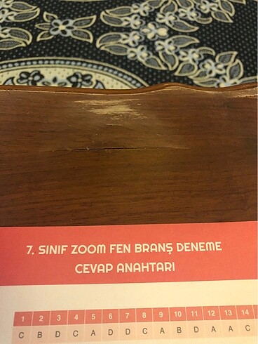  Beden Renk 7. Sınıf fen deneme