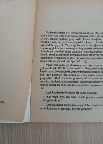 HEİDİ - Johanna Spyri (Türk ve Dünya Klasikleri) - Görsel 4