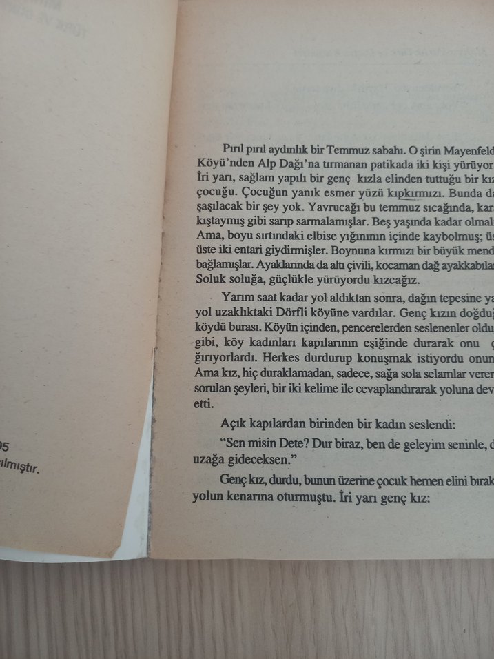 HEİDİ - Johanna Spyri (Türk ve Dünya Klasikleri) - Görsel 4