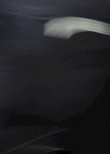 Kadın Siyah Midi Boy Denim Pantolon - Görsel 2