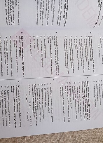 Gelişim psikolojisi yaprak test