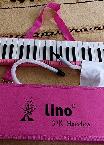 Lino melodika 