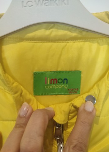 Sarı Fermuarlı mont - Görsel 3