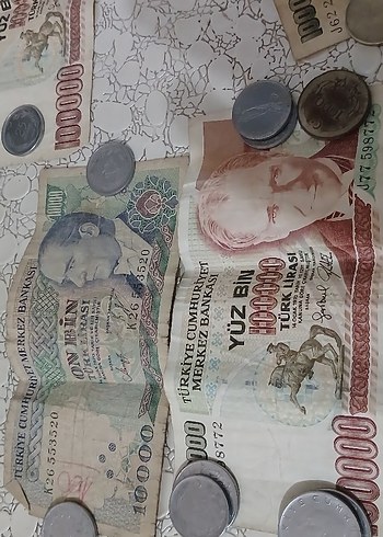 Gri Tonlarında Türk Lirası Hediyesi - Görsel 5