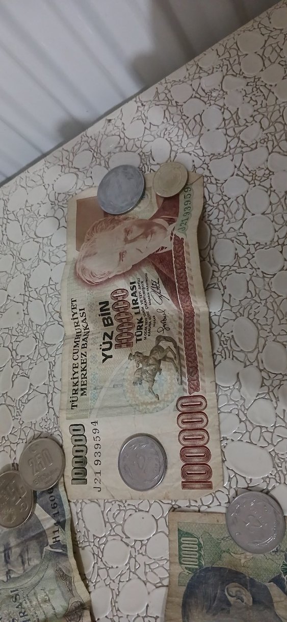 Gri Tonlarında Türk Lirası Hediyesi - Görsel 2