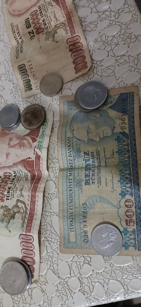 Gri Tonlarında Türk Lirası Hediyesi - Görsel 4