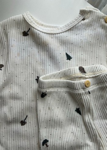 Ohlalakoala takımlar - Görsel 4