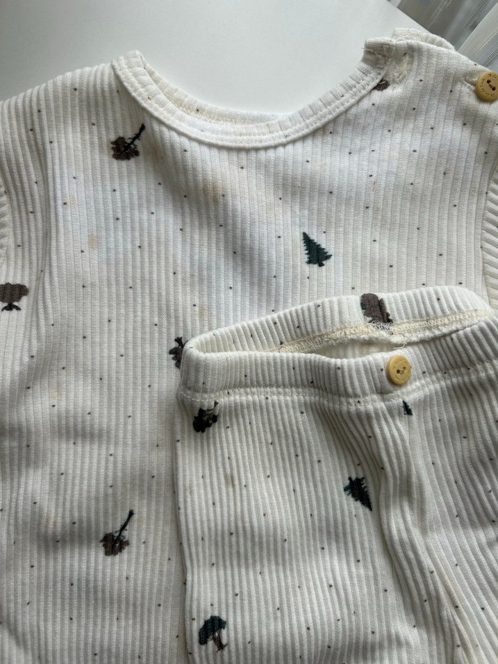 Ohlalakoala takımlar - Görsel 4