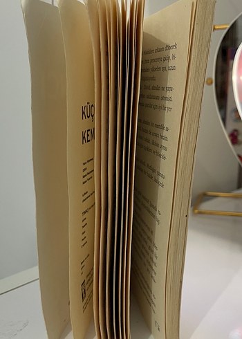 Küçük Kemancı - Eleanor H. Porter - Görsel 2