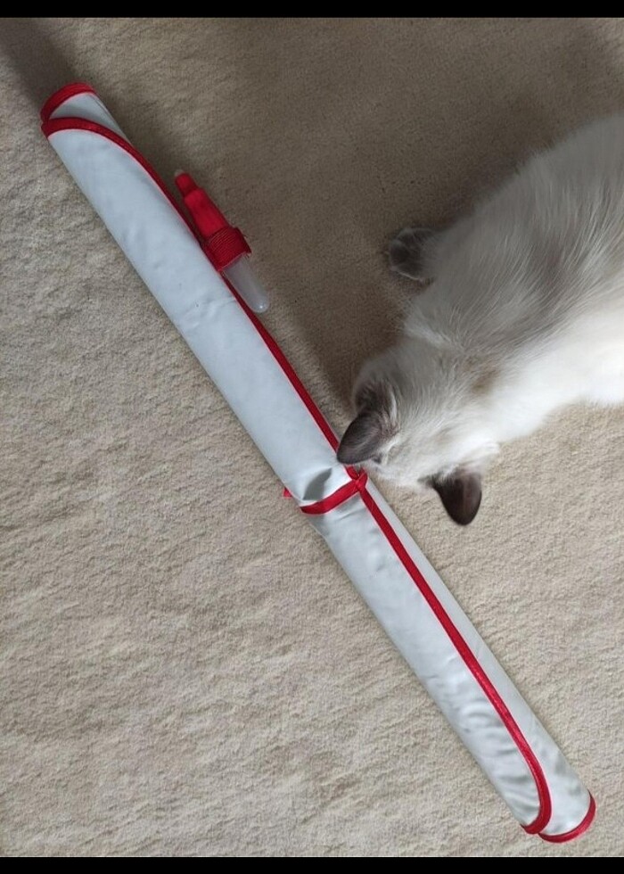 Aquadoodle suyla yazılabilen mat - Görsel 3