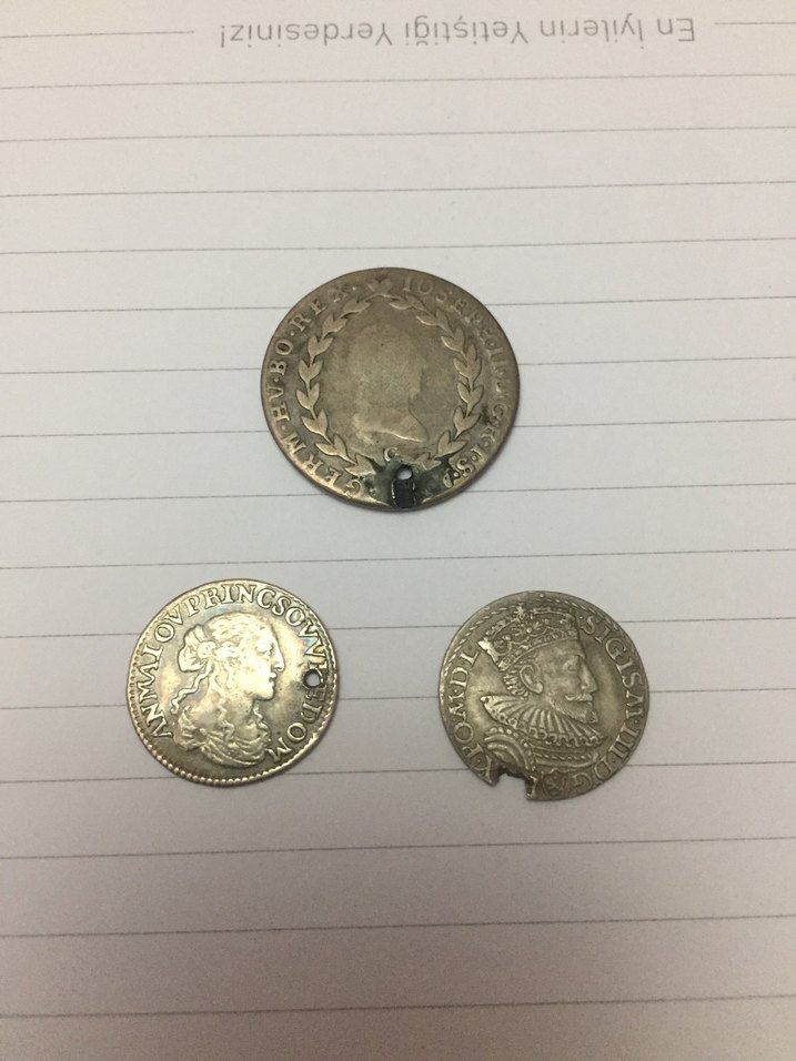 Vintage Erkek Rozetleri Altın ve Gri Tonlarında - Görsel 2