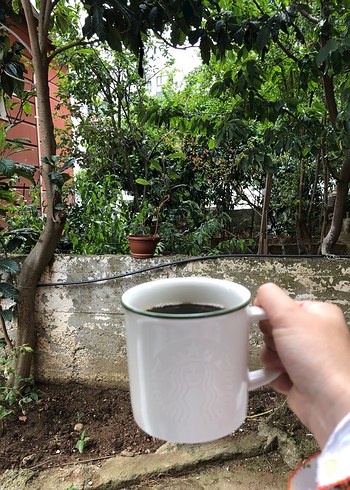 Beyaz Starbucks Kupa