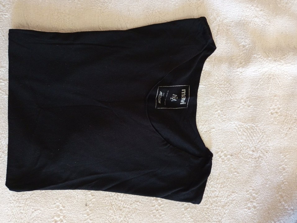 Siyah Regular Fit Erkek Tişört - Görsel 2