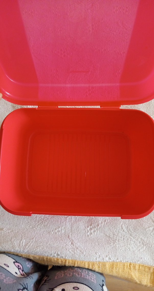Tupperware Kırmızı Plastik Saklama Kabı - Görsel 5