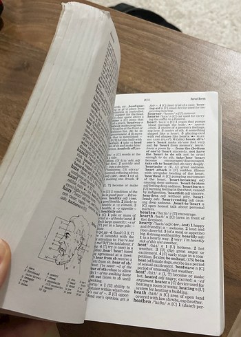 Oxford Learner's Pocket Sözlük - Görsel 2