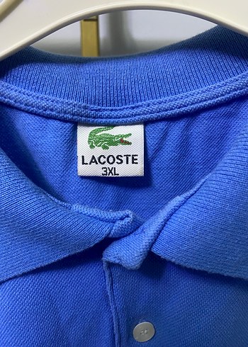 Mavi Kısa Kollu Polo Yaka Tişört - Görsel 4