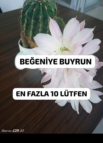 Öneri beğeni takip #öneri#beğeni#takip#yılbaşı #oyuncak#çocuk #m