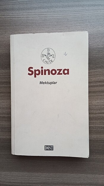 Spinoza mektuplar