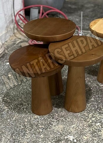 Diğer Mantar sehpa