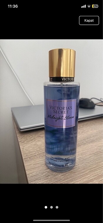 Vs Midnight Bloom