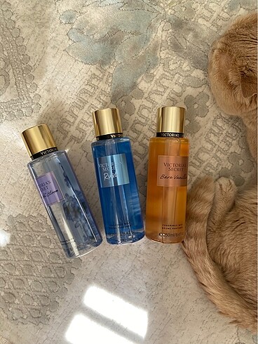 VS RUSH BARE VANİLLA VE MİDNİGHT BLOOM