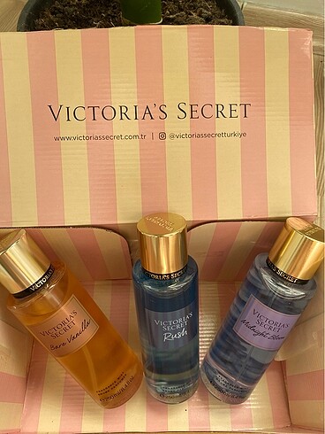VS BARE VANİLLA MİDNİGHT VE RUSH