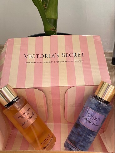 VS MİDNİGHT BLOOM VE BARE VANİLLA