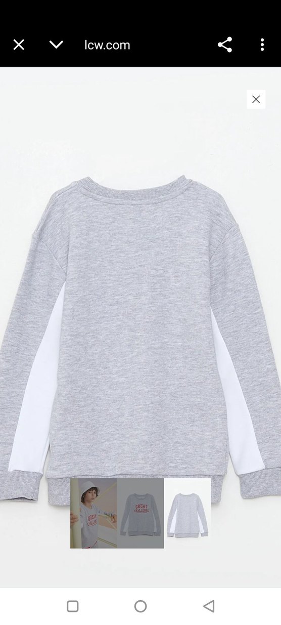 Gri Erkek Çocuk Uzun Kollu Sweatshirt - Görsel 2