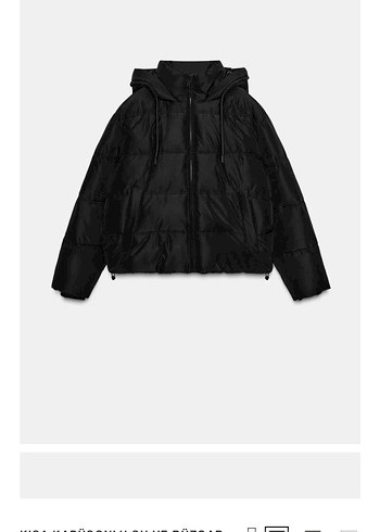 zara mont