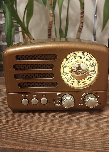 Everton AM/FM/USB Vintage Radyo