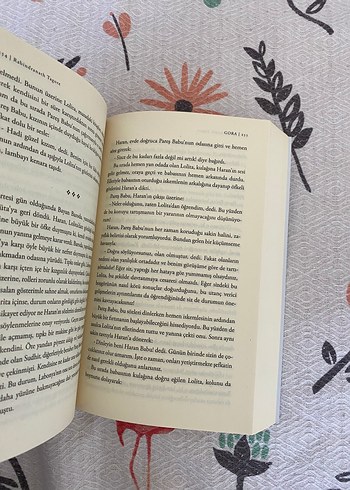 Beden Renk Rabindranath Tagore'dan Gora Romanı