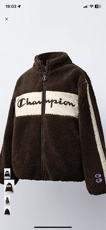 Zara x champion