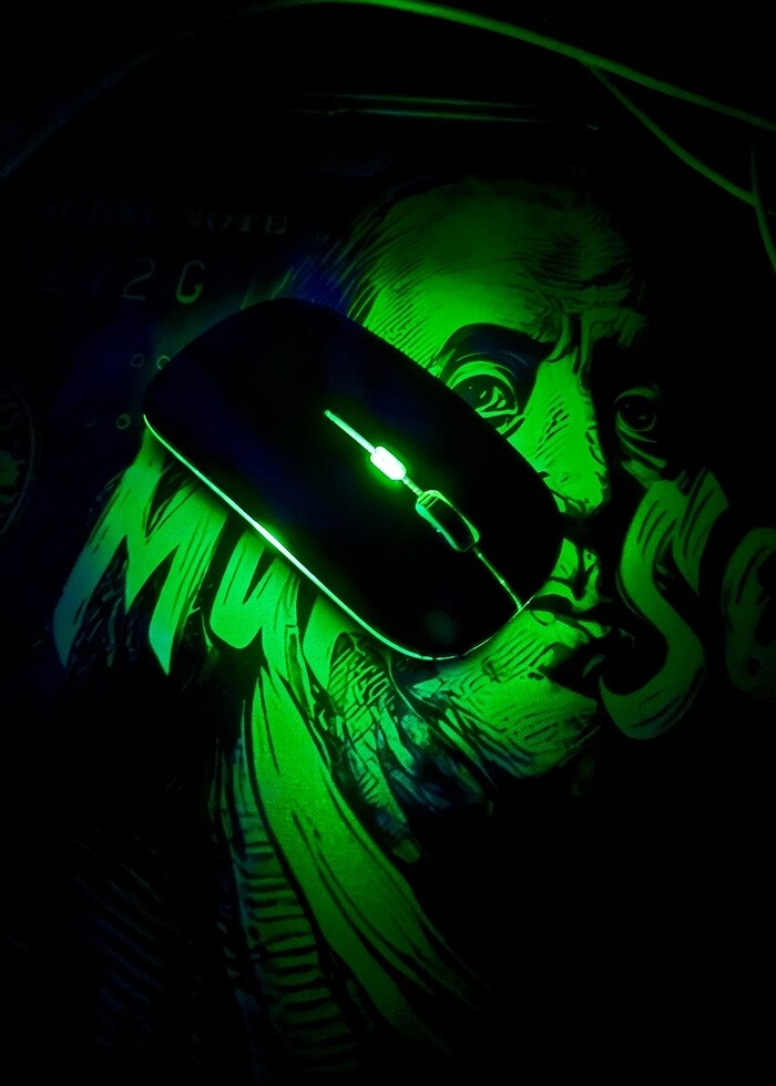 Rgb mouse - Görsel 2