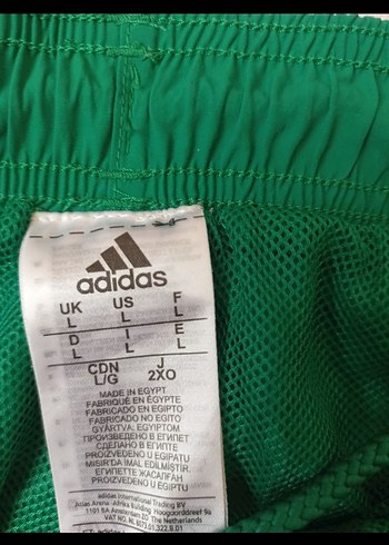 Erkek Spor Yeşil Mini Şort - Görsel 4