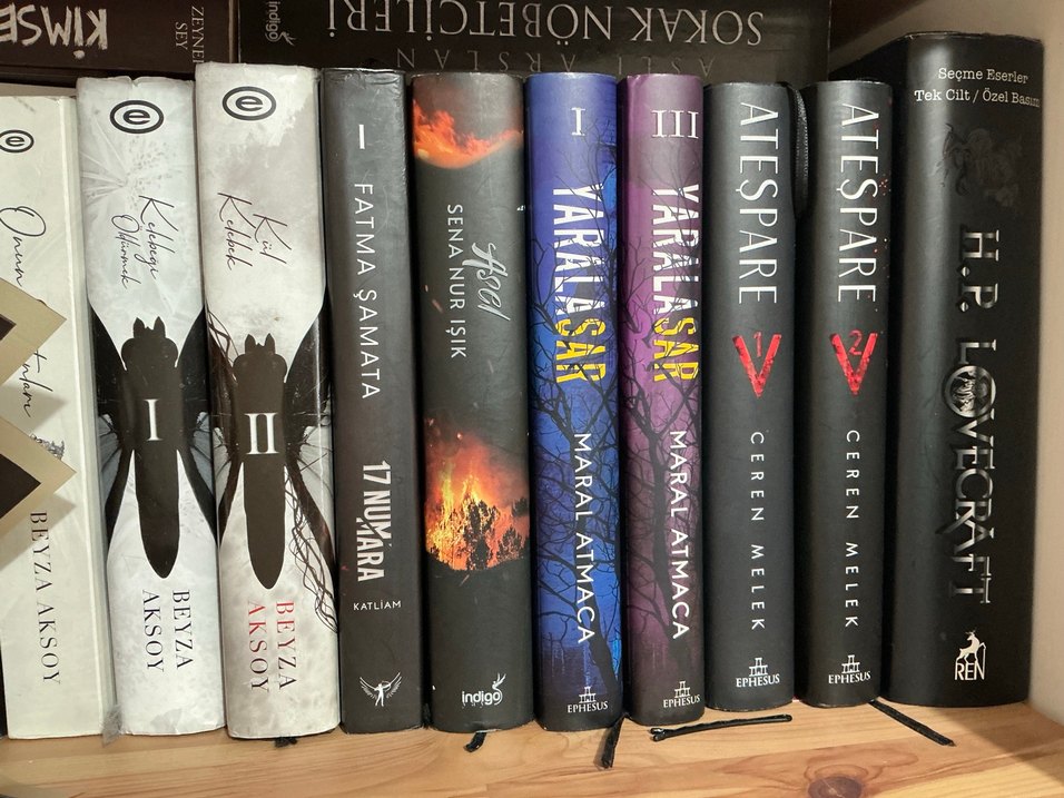 Yaralasar Romanı 1-3 Maral Atmaca - Görsel 2