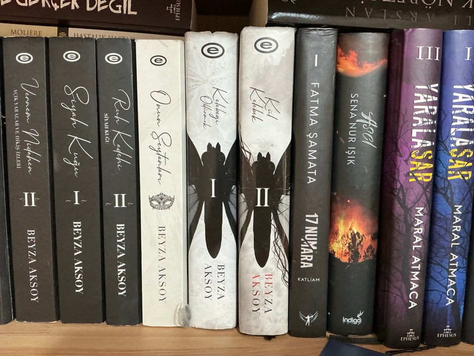 Çeşitli Yazarlardan Romanlar Seti - Görsel 3