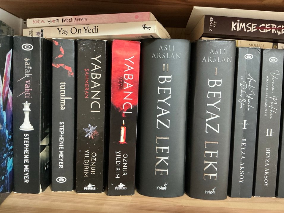 Çeşitli Yazarlardan Romanlar Seti - Görsel 4