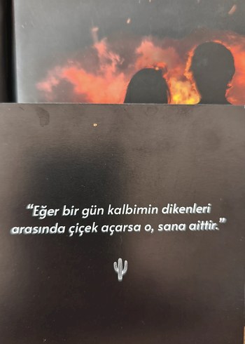  Beden Asel - Sena Nur Işık