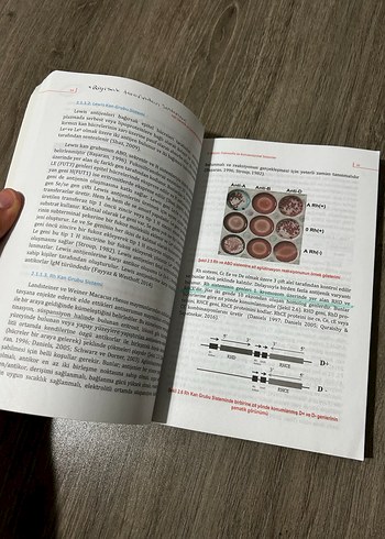 Adli Genetik ve Kimliklendirme - Görsel 3