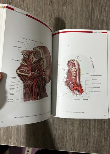 Anatomi atlası - Görsel 3