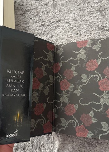 Kalp Muhafızı - Beyza Alkoç - Görsel 2