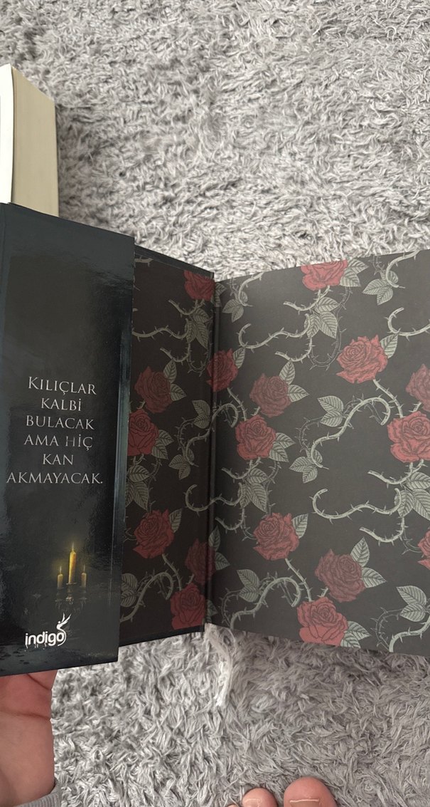 Kalp Muhafızı - Beyza Alkoç - Görsel 2