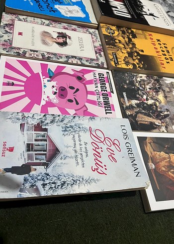 Klasik Edebiyat Kitapları - Görsel 3