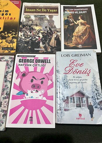 Klasik Edebiyat Kitapları - Görsel 5